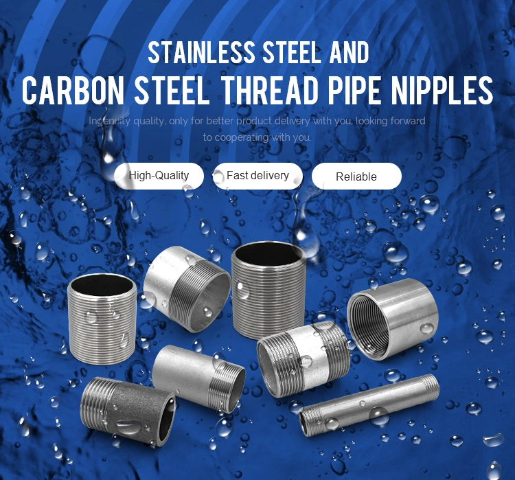 Factory Price Ss201 SS304 SS316 Sch40 Sch80 Bsp DIN NPT Threaded Pipe Fitting Stainless Steel Barrel Nipples Pipe Connector Hose Nipple Threaded Pipe Nipples